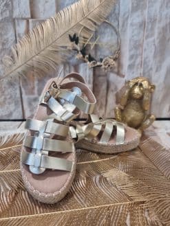 Alternative view of Spartiates Dorées 💖