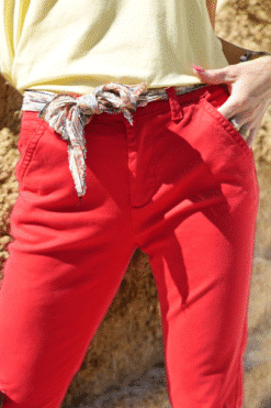 Alternative view of Chino Aubin Rouge